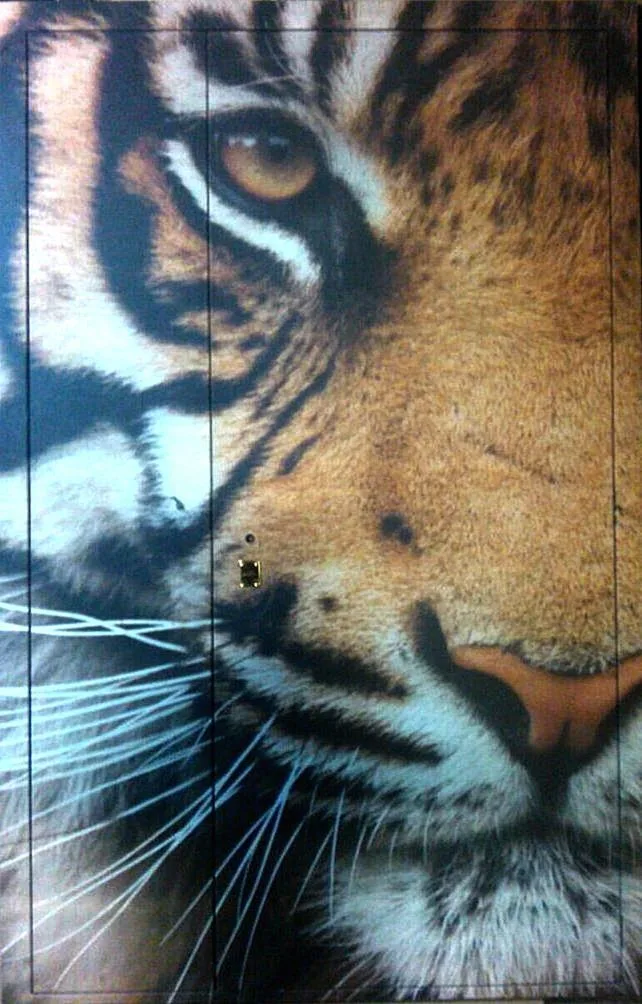 Входная дверь Zerda-1 (Фотопечать / МДФ ПВХ) - внешняя сторона